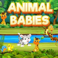 Animal Babies