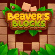 Beaver’s Blocks