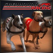 Greyhound Racing