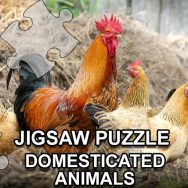 Jigsaw Puzzle Domesticated Animals