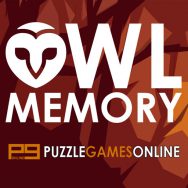 Owl Memory