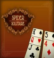 Spider solitaire!