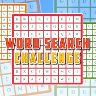 Word Search Challenge